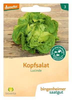 Bingenheimer Saatgut Kopfsalat